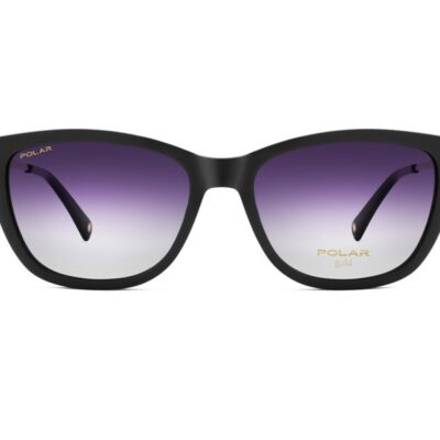 POLAR GOLD C76  CLIP ON